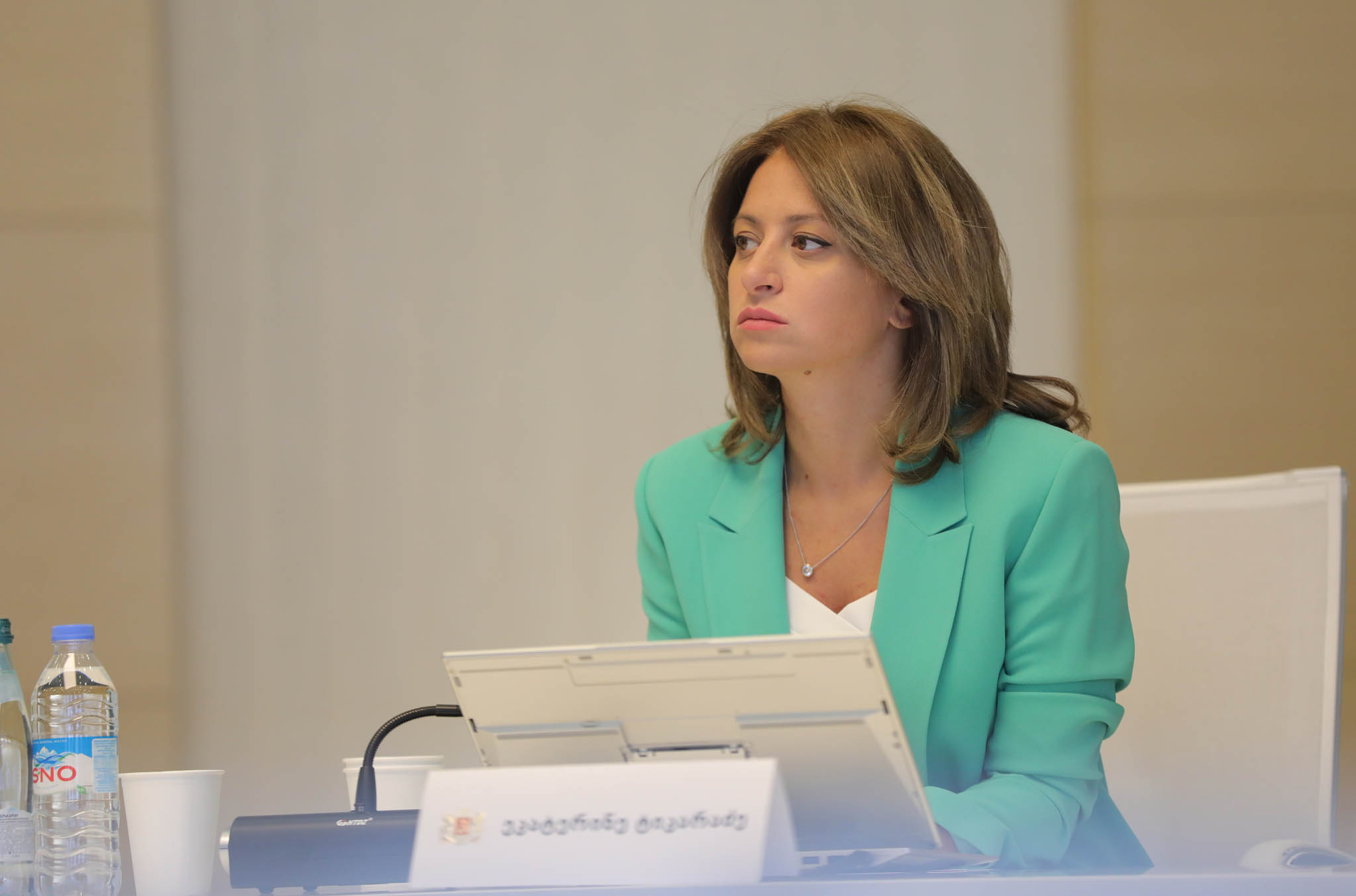 ეკატერინე ტიკარაძე - დეტალურად არის გაწერილი, სად მიემართება დონორი ორგანიზაციების და ბანკების მიერ გამოყოფილი სახსრები, პრეზენტაცია უახლოეს დღეებში გაიმართება