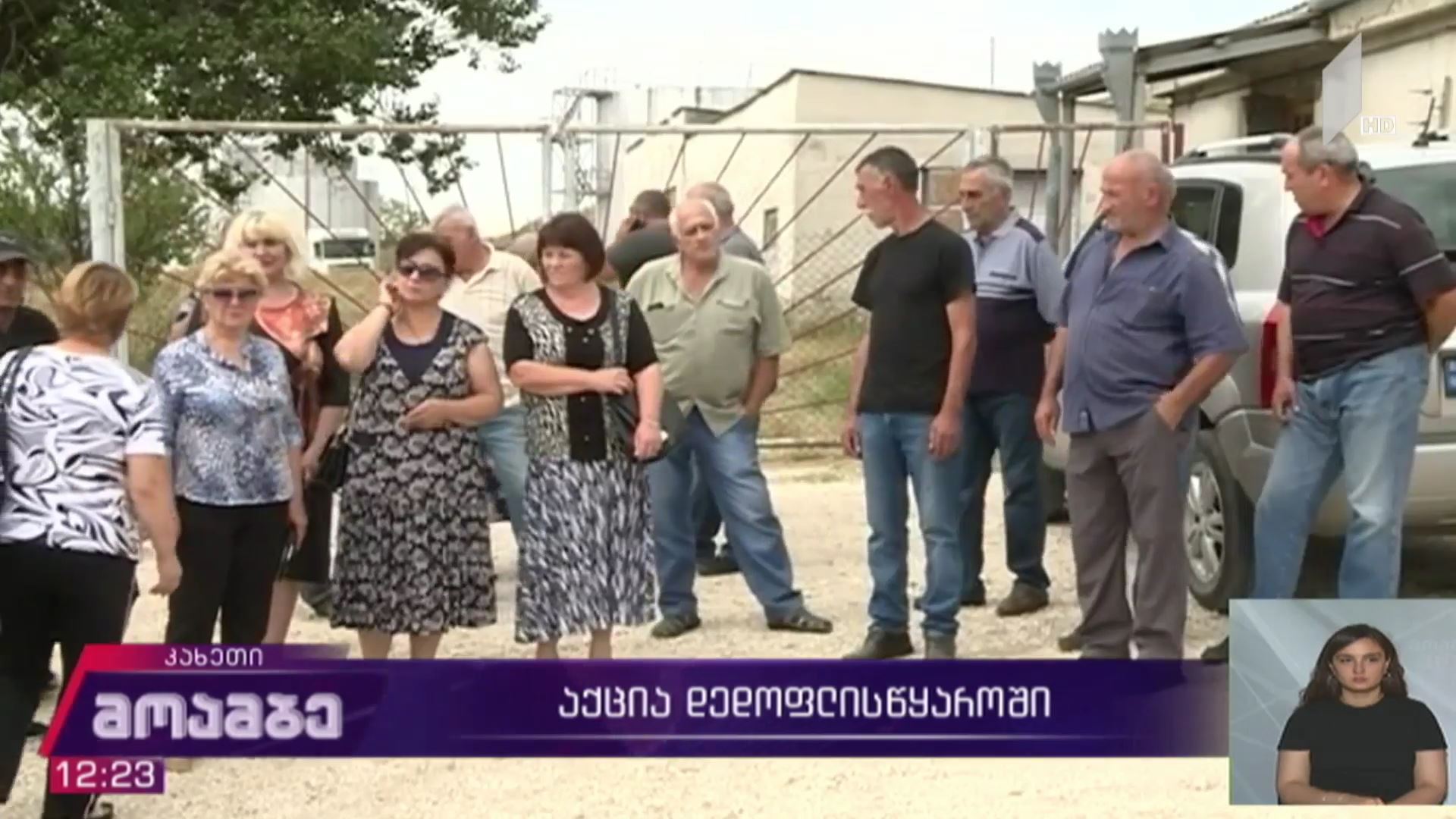 აქცია დედოფლისწყაროში