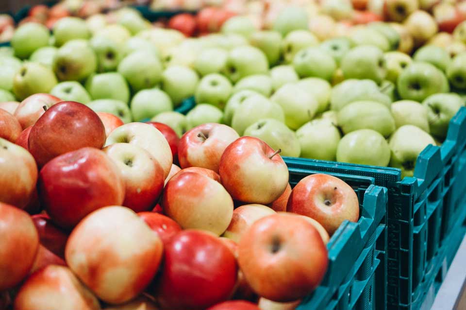 სოფლის მეურნეობის სამინისტრო არასტანდარტული ვაშლის შესყიდვის სუბსიდირების პროექტზე ინფორმაციას ავრცელებს
