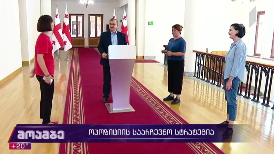 ოპოზიციის საარჩევნო სტრატეგია