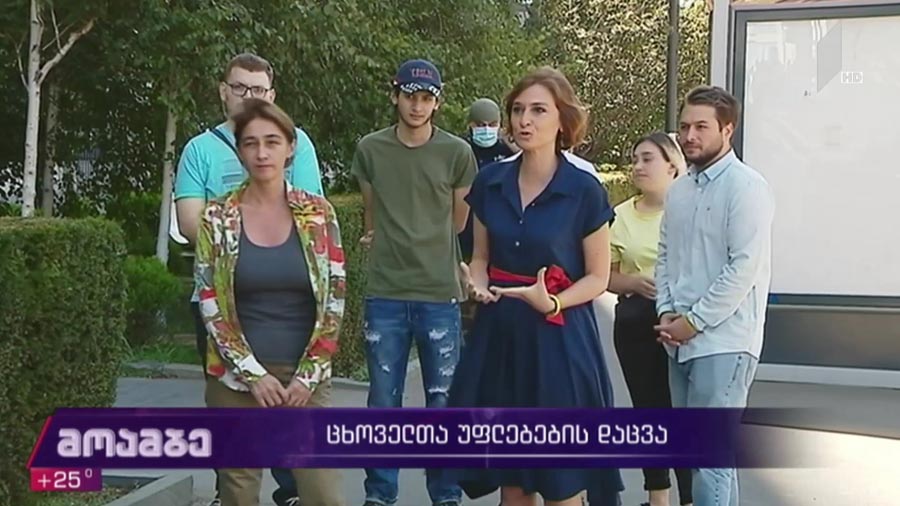 ცხოველთა უფლებების დაცვა