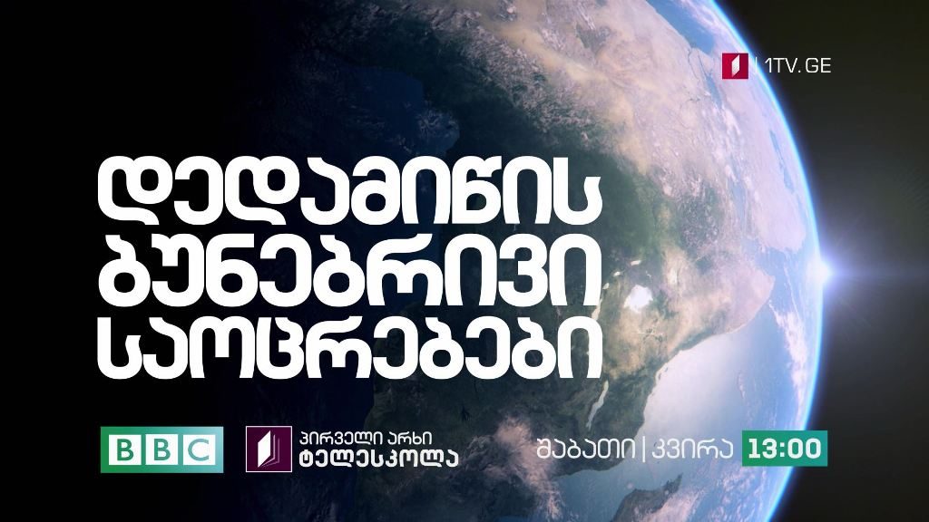 პირველი არხი l ტელესკოლა – დოკუმენტური ფილმი „დედამიწის ბუნებრივი საოცრებები“ – შაბათი | კვირა, 13:00