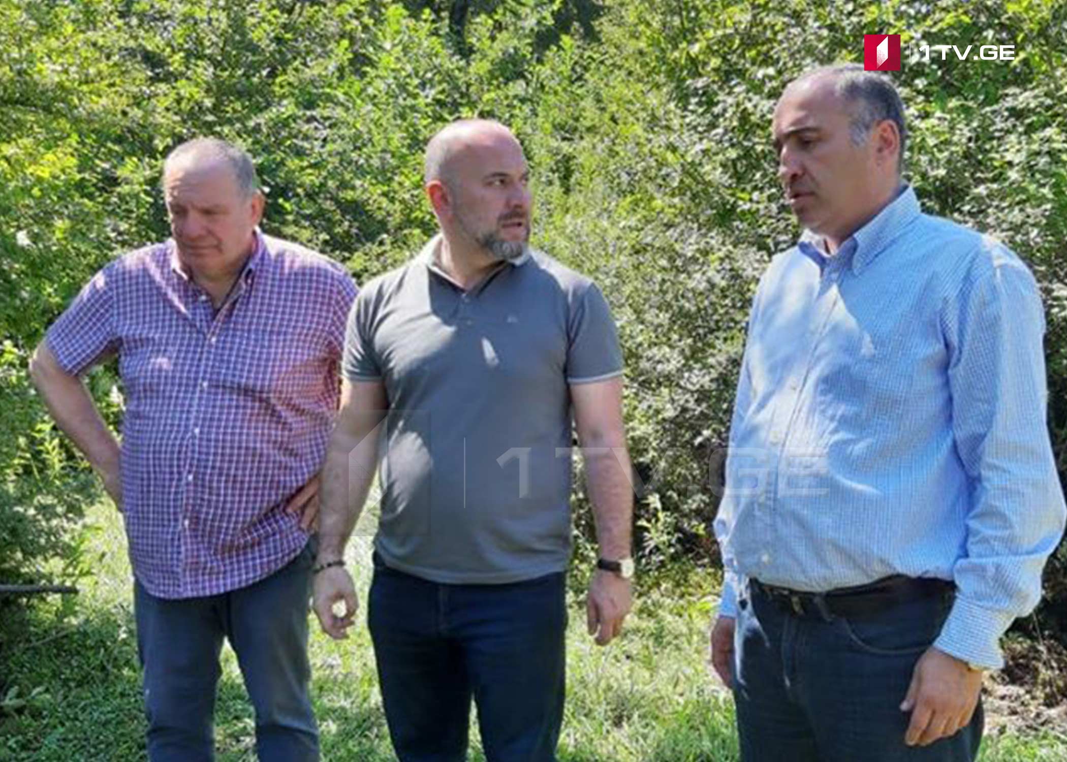 იმერეთში სტიქიის სალიკვიდაციო სამუშაოები გრძელდება