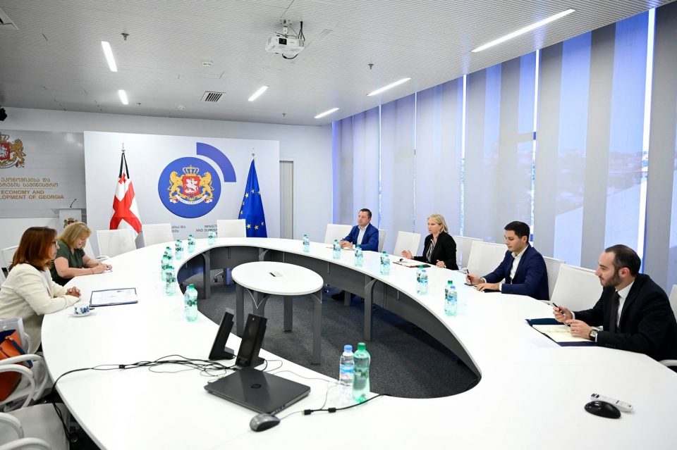 ნათია თურნავა მიგრაციის საერთაშორისო ორგანიზაციის საქართველოს მისიის ხელმძღვანელს შეხვდა