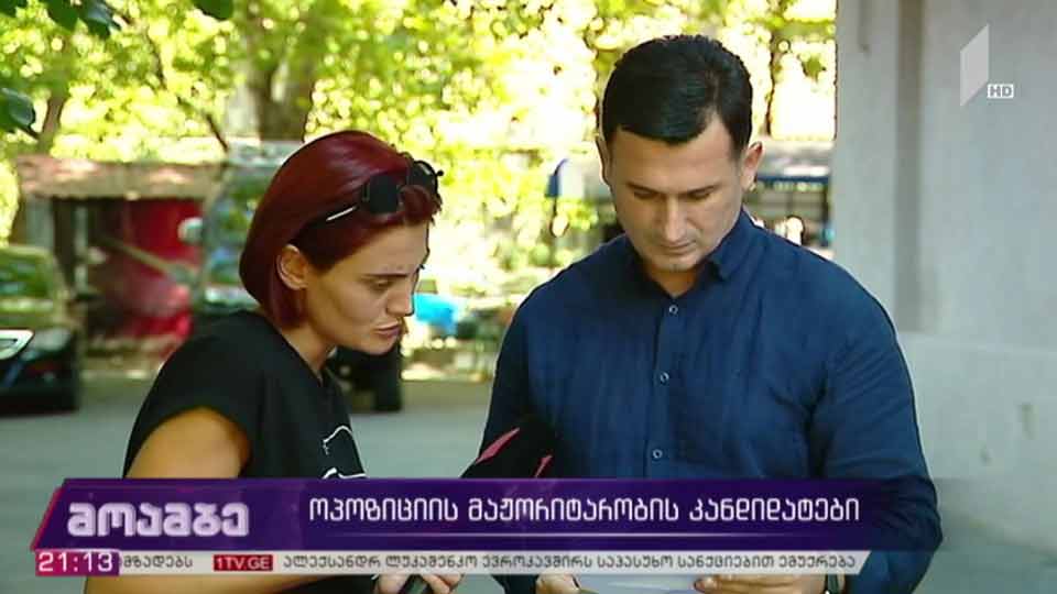 ოპოზიციის მაჟორიტარობის კანდიდატები
