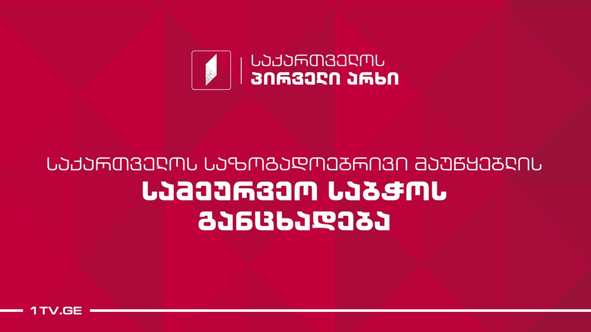 სამეურვეო საბჭოს მიმართვა საერთაშორისო ორგანიზაციებს