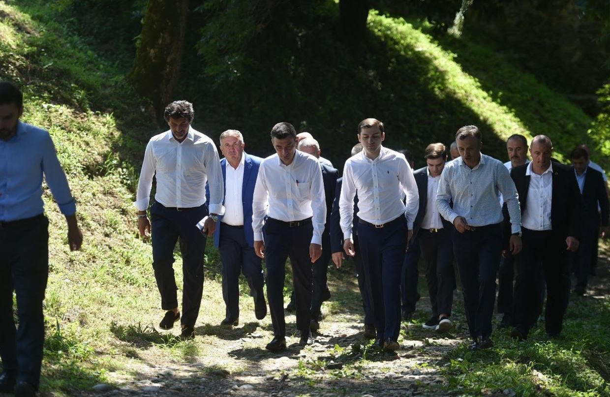 სარეაბილიტაციო სამუშაოების დათვალიერება