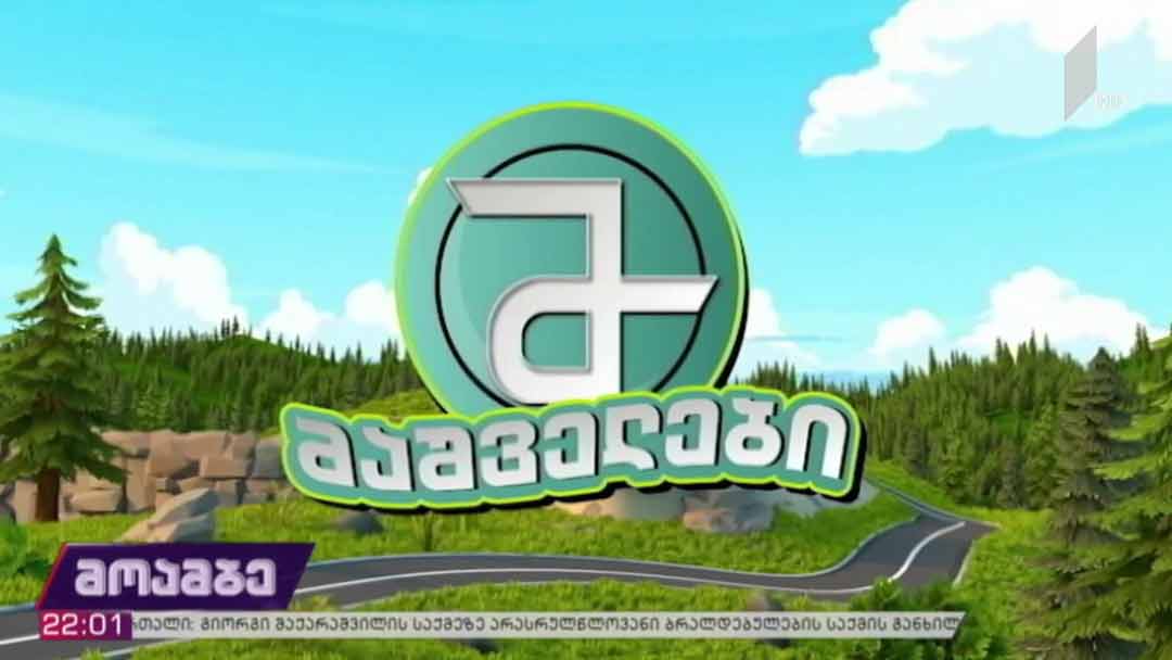 საქართველოს პირველ არხზე „მაშველები“ იწყება