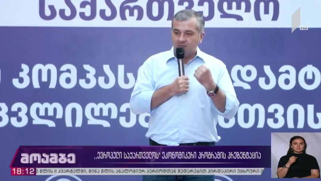 „ევროპული საქართველოს“ ეკონომიკური პროგრამის პრეზენტაცია