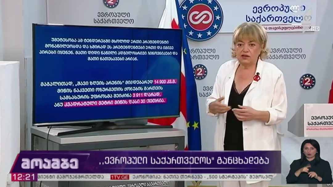 „ევროპული საქართველოს“ განცხადება