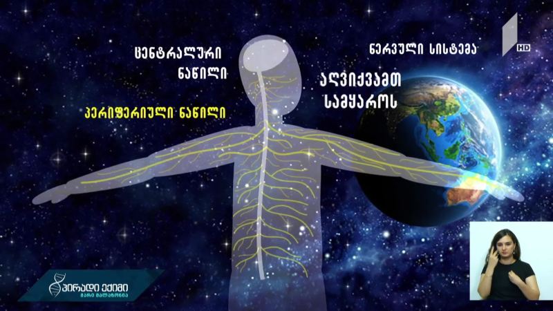 ნერვის დაზიანების ამოსაცნობად და თავიდან ასაცილებლად