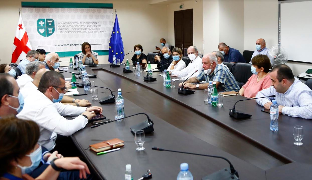 ეკატერინე ტიკარაძე ლაბორატორიული ჯგუფის წარმომადგენლებს და იმ კლინიკების ხელმძღვანელებს შეხვდა, რომლებიც „კოვიდ-19“-ის მართვაში არიან ჩართული