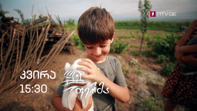 „ფერმა“ – 20 სექტემბერი, 15:30