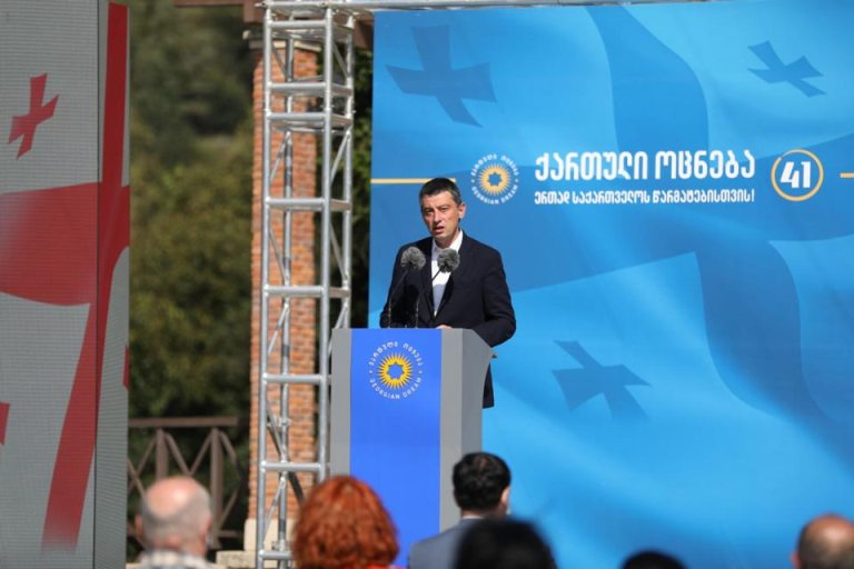 „ქართული ოცნების“ მაჟორიტარობის კანდიდატის წარდგენა