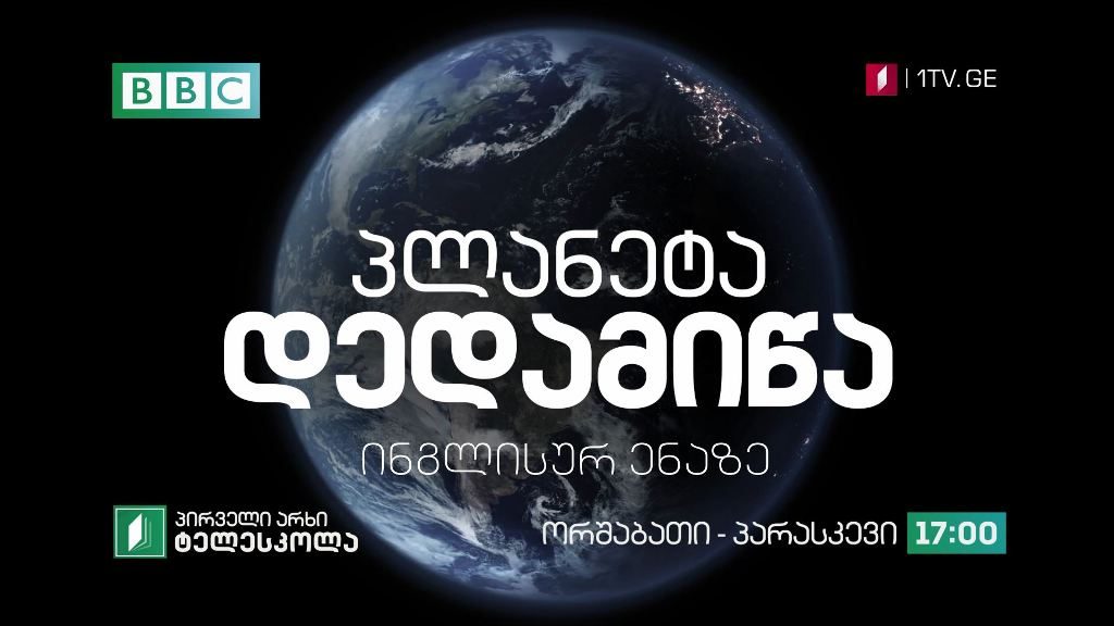 პირველი არხი l ტელესკოლა – დოკუმენტური ფილმი „პლანეტა დედამიწა“ ინგლისურ ენაზე – ორშაბათი | პარასკევი, 17:00