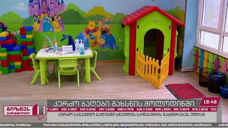 კერძო ბაღები, შესაძლოა, გაძვირდეს