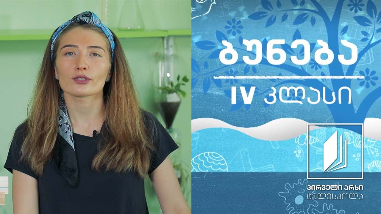 ბუნება, IV კლასი - წყლის ბრუნვა #ტელესკოლა