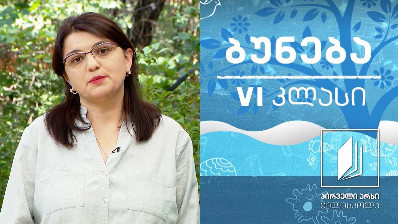 ბუნება, VI კლასი - ფიზიკური და ქიმიური მოვლენები #ტელესკოლა