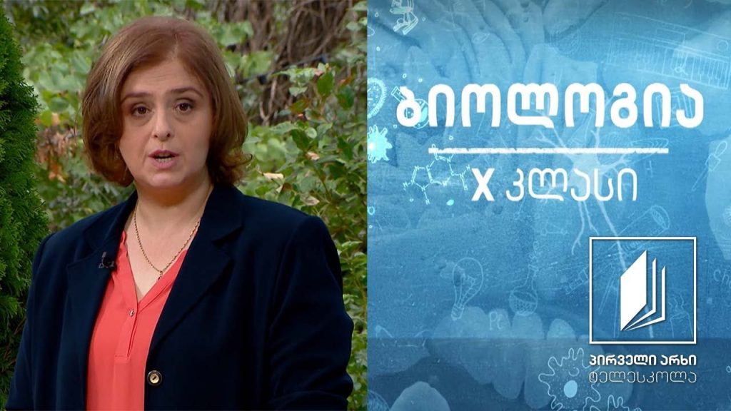 ბიოლოგია, X კლასი – ცილები – სტრუქტურა და ფუნქციები #ტელესკოლა