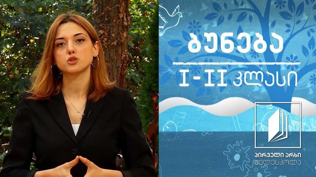ბუნება, I-II კლასი – შეგრძნებების ორგანოები #ტელესკოლა