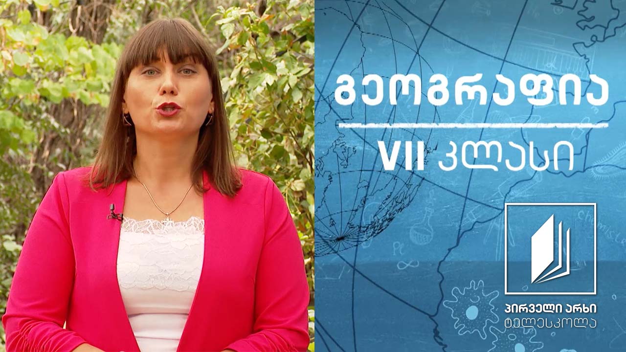 გეოგრაფია, VII კლასი - გლობუსი და რუკის ტიპები #ტელესკოლა