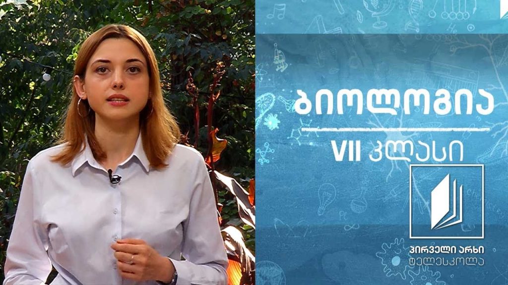 ბიოლოგია, VII კლასი – გამადიდებელი ხელსაწყოები; მიკროპრეპარატების მომზადება, განხილვა #ტელესკოლა