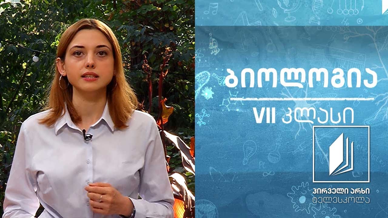 ბიოლოგია, VII კლასი - გამადიდებელი ხელსაწყოები; მიკროპრეპარატების მომზადება, განხილვა #ტელესკოლა