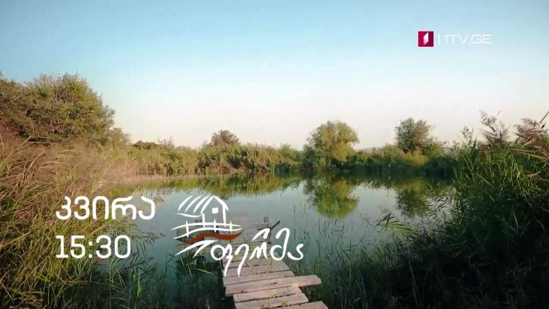 „ფერმა“ – 4 ოქტომბერი, 15:30