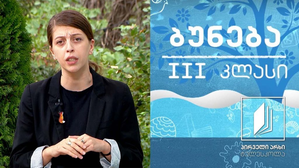 ბუნება, III კლასი – მზის სისტემა #ტელესკოლა