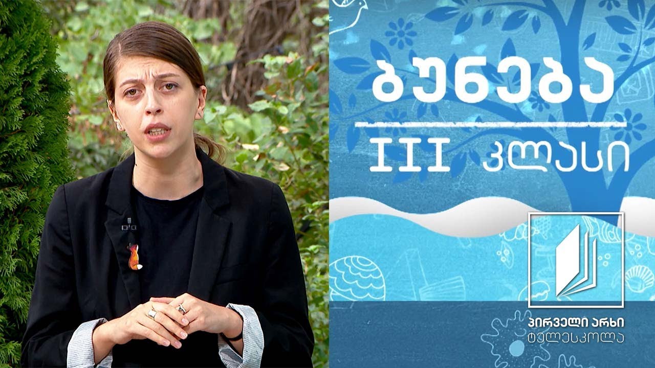 ბუნება, III კლასი - მზის სისტემა #ტელესკოლა