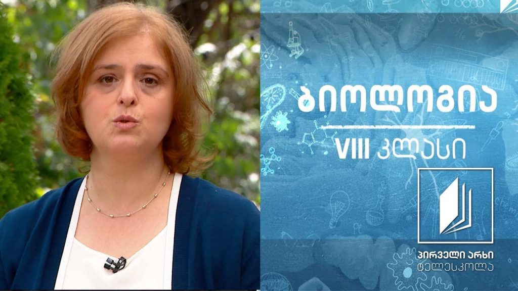 ბიოლოგია, VIII კლასი – ადამიანის ჩონჩხის აგებულება და ფუნქციები #ტელესკოლა