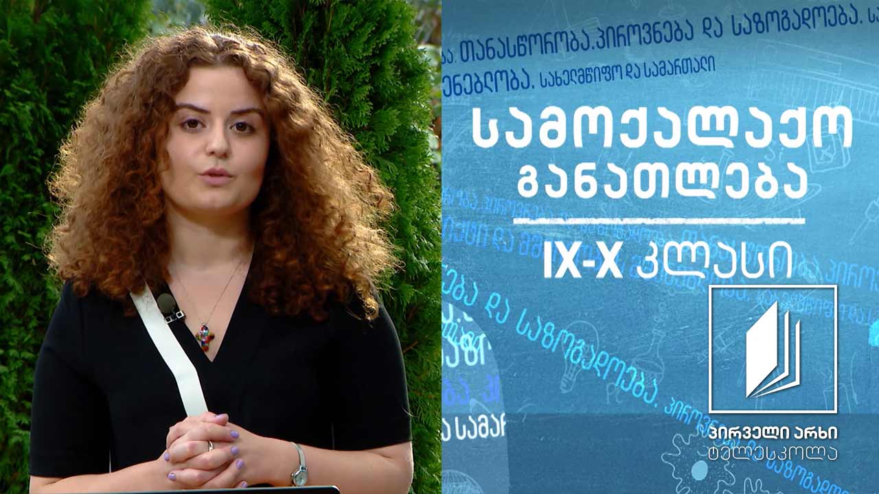 სამოქალაქო, IX-X კლასები - ბაზარი და კონკურენცია #ტელესკოლა