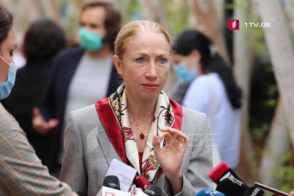 US Ambassador – Every party should explain to their supporters that violence and intimidation is unacceptable