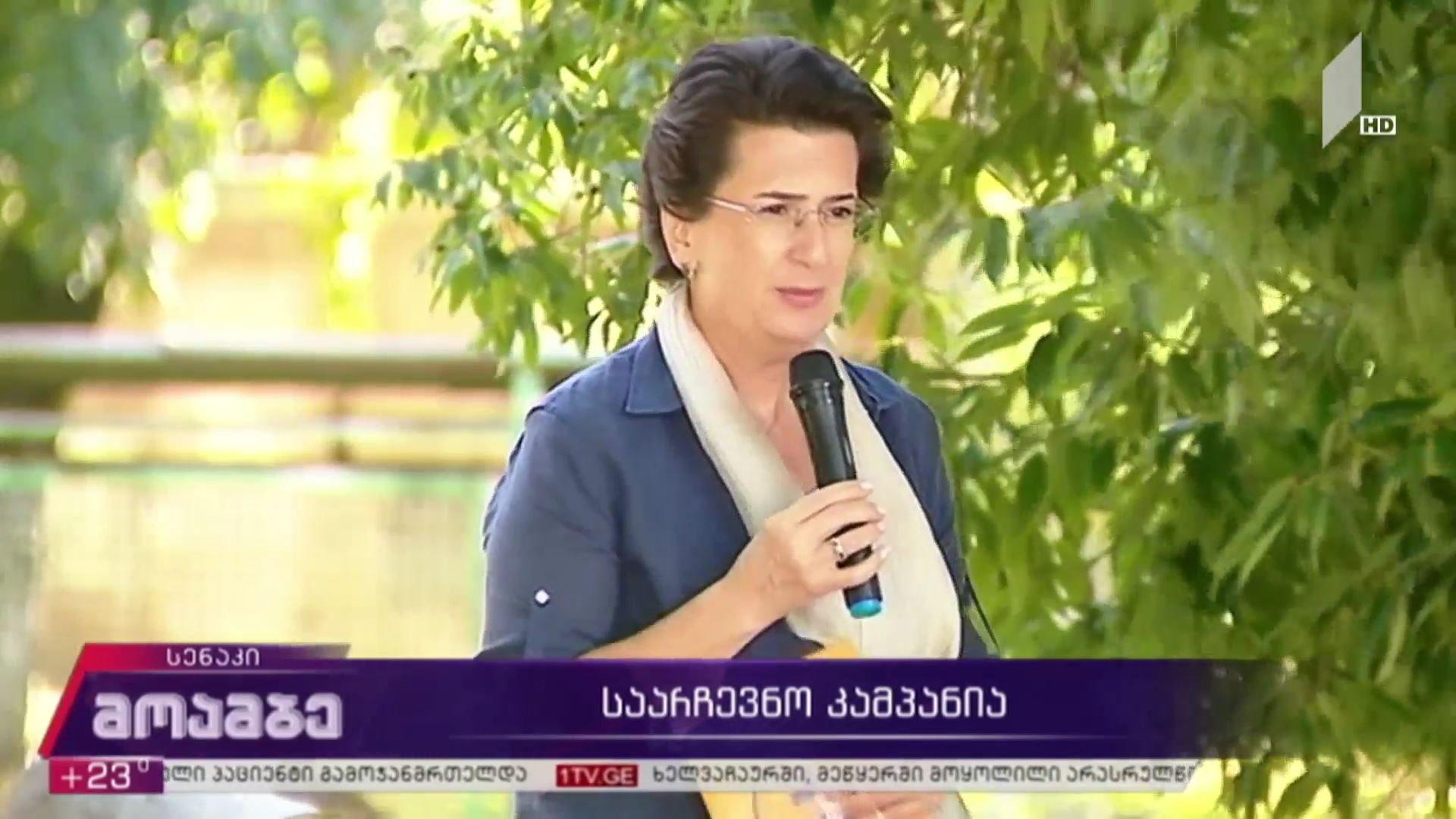 საარჩევნო კამპანია