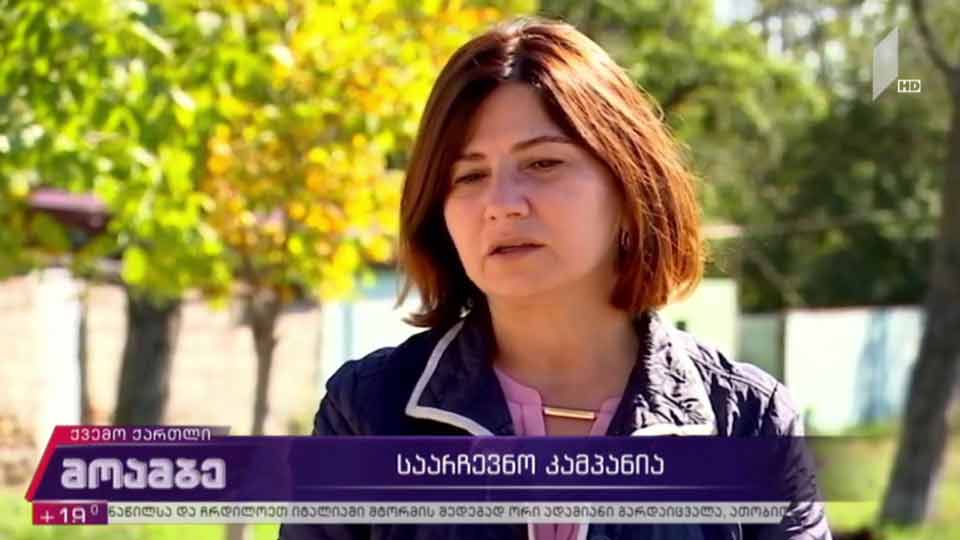 „ევროპული საქართველოს“ საარჩევნო კამპანია