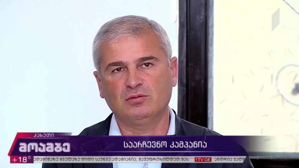 საარჩევნო კამპანია