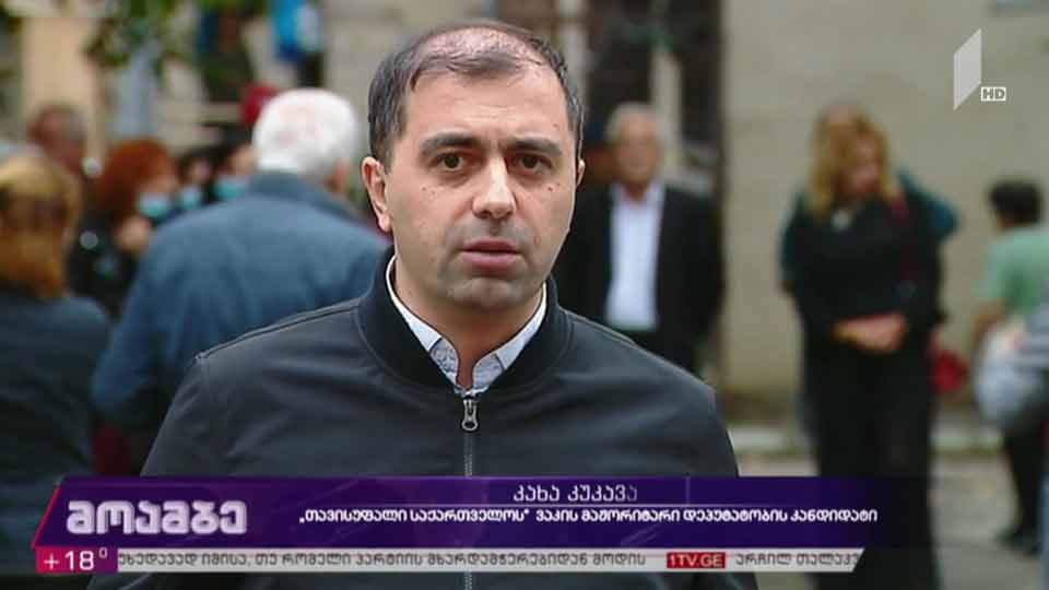 „თავისუფალი საქართველოს“ საარჩევნო კამპანია