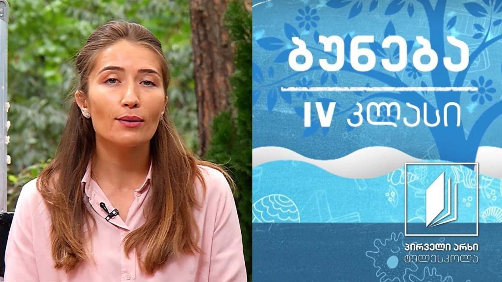 ბუნება, IV კლასი – ორგანიზმების ძირითადი ჯგუფები #ტელესკოლა