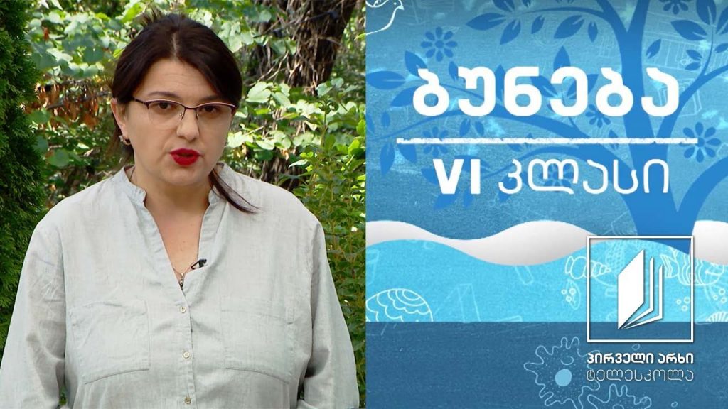 ბუნება, VI კლასი – ორგანიზმისათვის აუცილებელი ნივთიერებები #ტელესკოლა