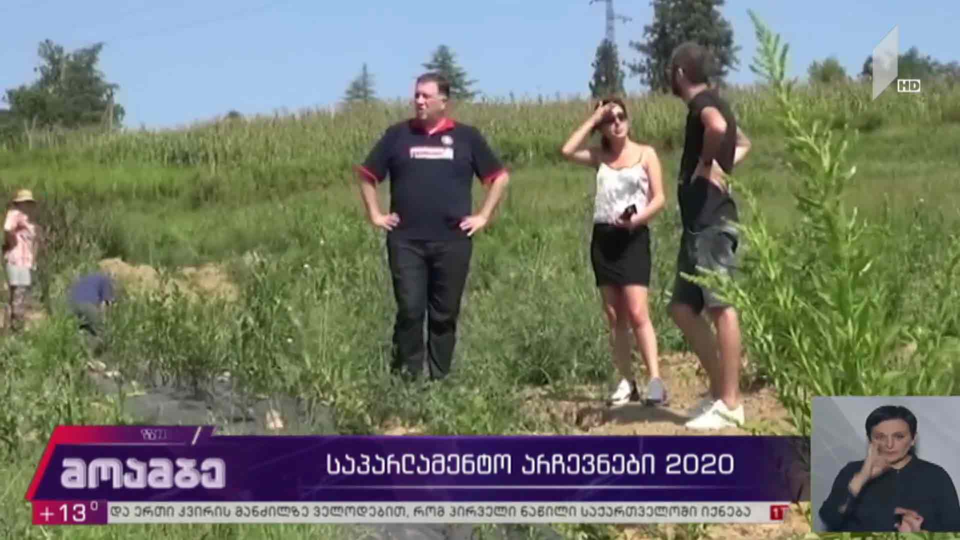 საპარლამენტო არჩევნები 2020