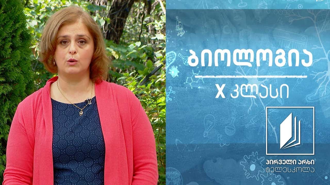 ბიოლოგია, X კლასი - ნუკლეინის მჟავები - დნმ და რნმ #ტელესკოლა
