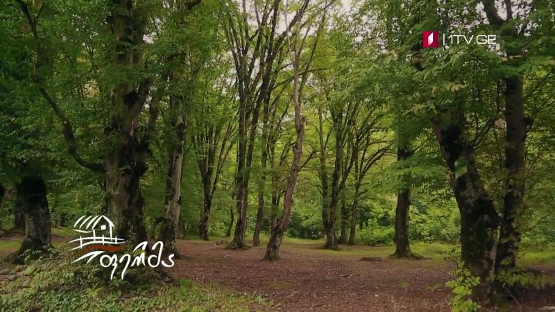 „ფერმა“ – 11 ოქტომბერი, 15:30