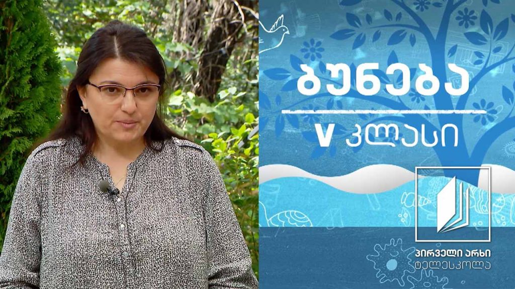 ბუნება, V კლასი – ცხოველთა ქცევა #ტელესკოლა