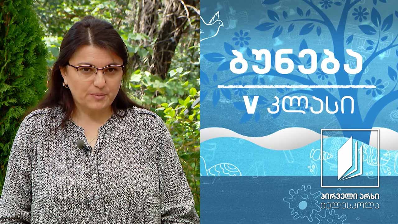 ბუნება, V კლასი - ცხოველთა ქცევა #ტელესკოლა