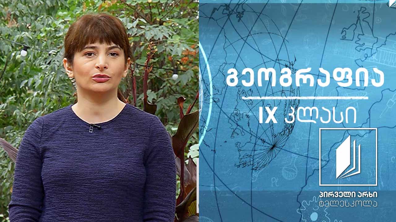 გეოგრაფია, IX კლასი - საქართველოს მინერალური რესურსები #ტელესკოლა