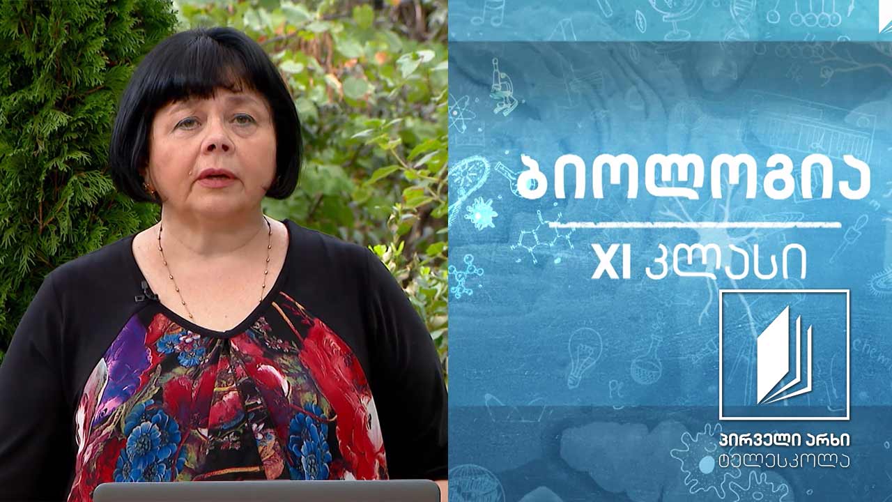 ბიოლოგია, XI კლასი - ეუკარიოტული უჯრედის სასიცოცხლო ციკლი, არაპირდაპირი გაყოფა - მიტოზი #ტელესკოლა