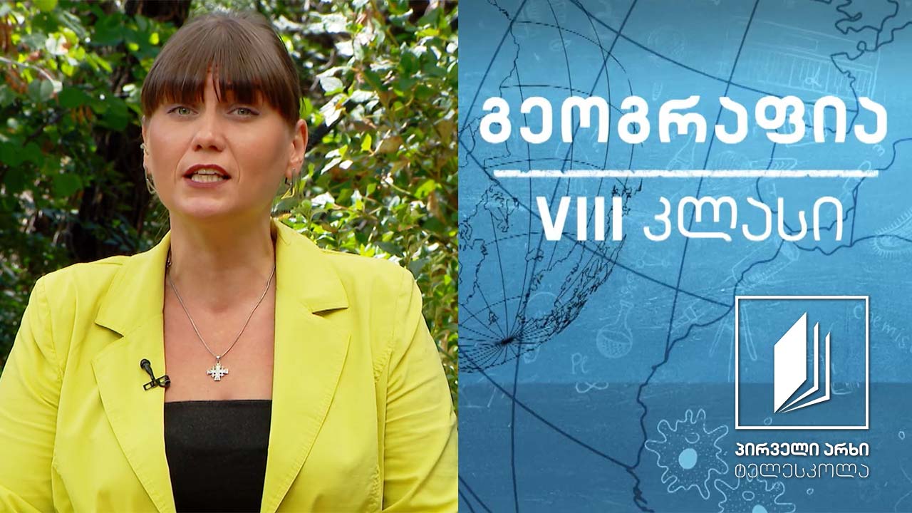 გეოგრაფია, VIII კლასი - მოსახლეობის დინამიკა და მიგრაციის ტიპები  #ტელესკოლა