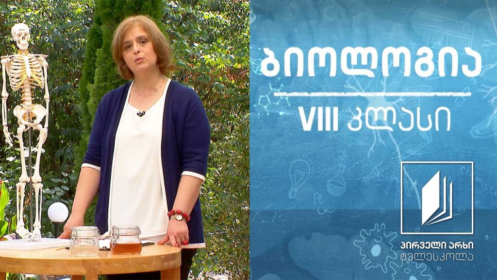 ბიოლოგია, VIII კლასი – ძვლის აგებულება და ქიმიური შემადგენლობა #ტელესკოლა