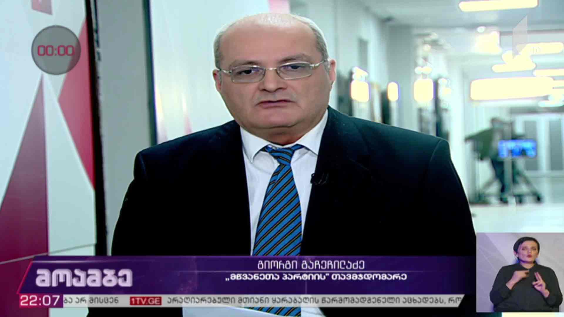 არჩევნები 2020 - „მწვანეთა პარტიის" თავმჯდომარე გიორგი გაჩეჩილაძე