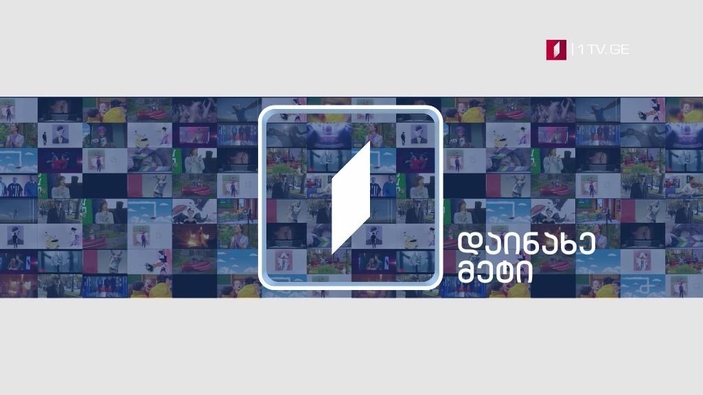 დაინახე მეტი – საქართველოს პირველი არხი